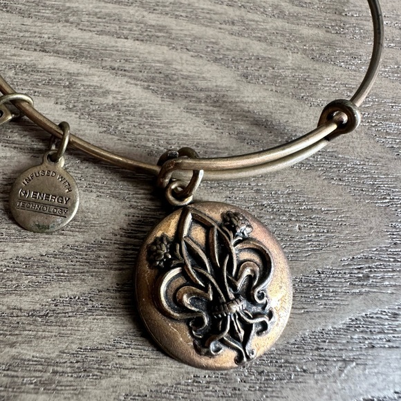 Alex and Ani Bronze Charm Bracelet - Picture 1 of 4